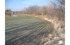 Property photo 6 - 1900's All Brick Home, Metal Frame Barn on 3.42 Acres